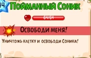 Пойманный Соник