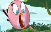 Pink Bird surprised