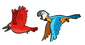 Caged Birds