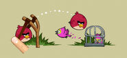 Angry Birds Rio Tutorial