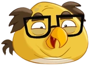 Danny Devito Bird
