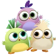 ABPOP Hatchlings.png (60 KB) Hatchlings