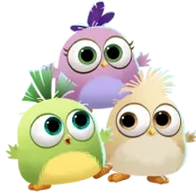 Hatchlings Angry Birds Wiki Fandom Coming to the appstores soon! hatchlings angry birds wiki fandom
