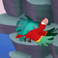 Scarlet Spix Macaw