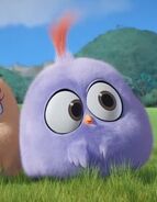 Angry-Birds-Blues-post-2