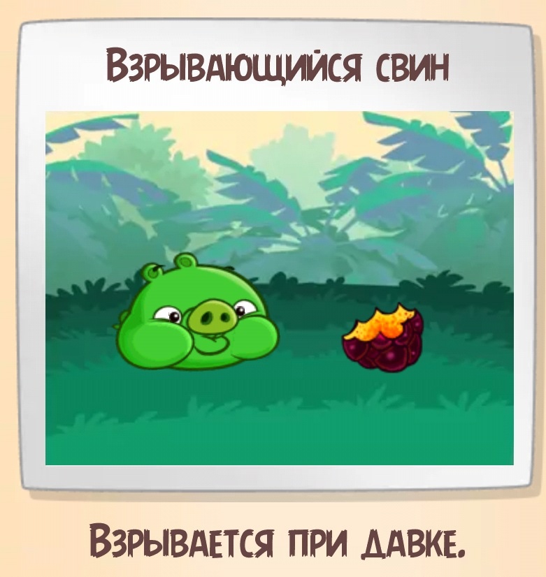 Птички бомбят поросят. Angry Birds взрывай свиней. Angry Birds взрывай свиней надпись. Свиньи Angry Birds взрываются. Энгри бердз Стелла свиньи.