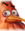 Hugh