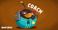 As a Coach in Angry Birds Career Test.