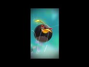 Angry Birds 2 AD (Meet Red and Bomb) - 10-2-21