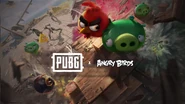 PubG Birds.jpeg (139 KB)