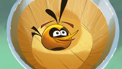 Bubbles (Angry Birds; Ham'o'ween trailer) - Loathsome Characters Wiki