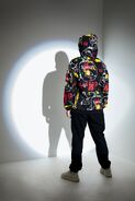 Art Birds Hoodie