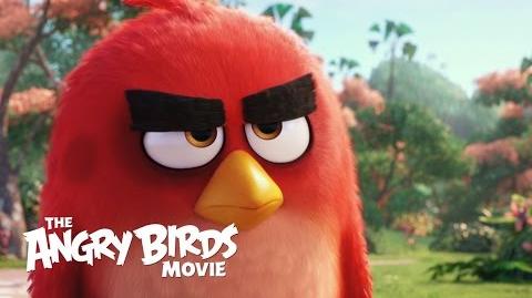 The Angry Birds Movie - Official Teaser Trailer (HD)