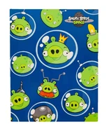 ABSpaceFolder.jpg (175 KB)