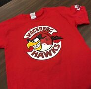 AB Kaseberg Hawks Shirt