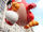 Macy's Thanksgiving Day Parade