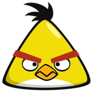 Вид спереди