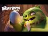 The Angry Birds Movie - TV Spot- Meet the Pigs