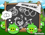 Bad Piggies