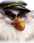Capt'n Thrush
