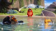 Angrybirdsmovie sony c