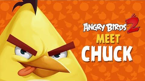 Angry Birds 2 – Meet Chuck Good With Wood!