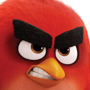 Angry Birds YT 2018 Icon
