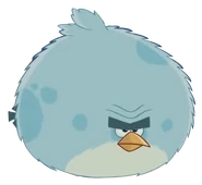 Тони (72 КБ) Тони Кузен Теренса родом из Финляндии, впервые появившийся в Angry Birds Seasons, а также Angry Birds for Messenger и Angry Birds Reloaded.