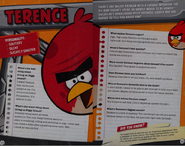 Character interview as interpreted by Red (The World of Angry Birds Official Guide)