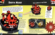 В книге Angry Birds Star Wars Character Encyclopedia