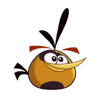 Angry Birds Toons | Angry Birds Wiki | Fandom