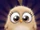 Alex (Angry Birds Match)