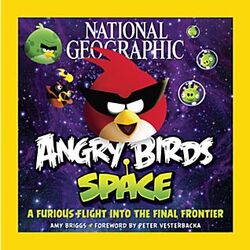 Angry Birds Space A Furious Flight into the Final Frontier