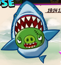 Shark Pig (Lose)