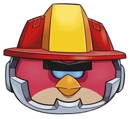 HEATWAVE TERENCE HEAD