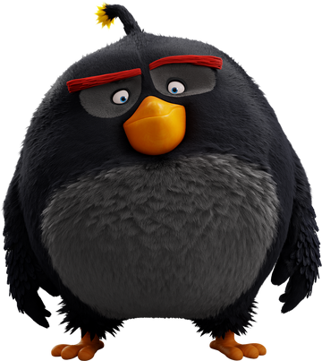 black angry bird flying