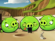 Angry Birds Bing Video Ep.1-1