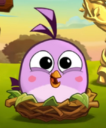 A Level 7 Hatchling in Angry Birds 2