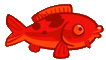 Red Koi Fish-1-