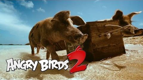 Angry Birds 2 Angry Is Back - Teaser 2