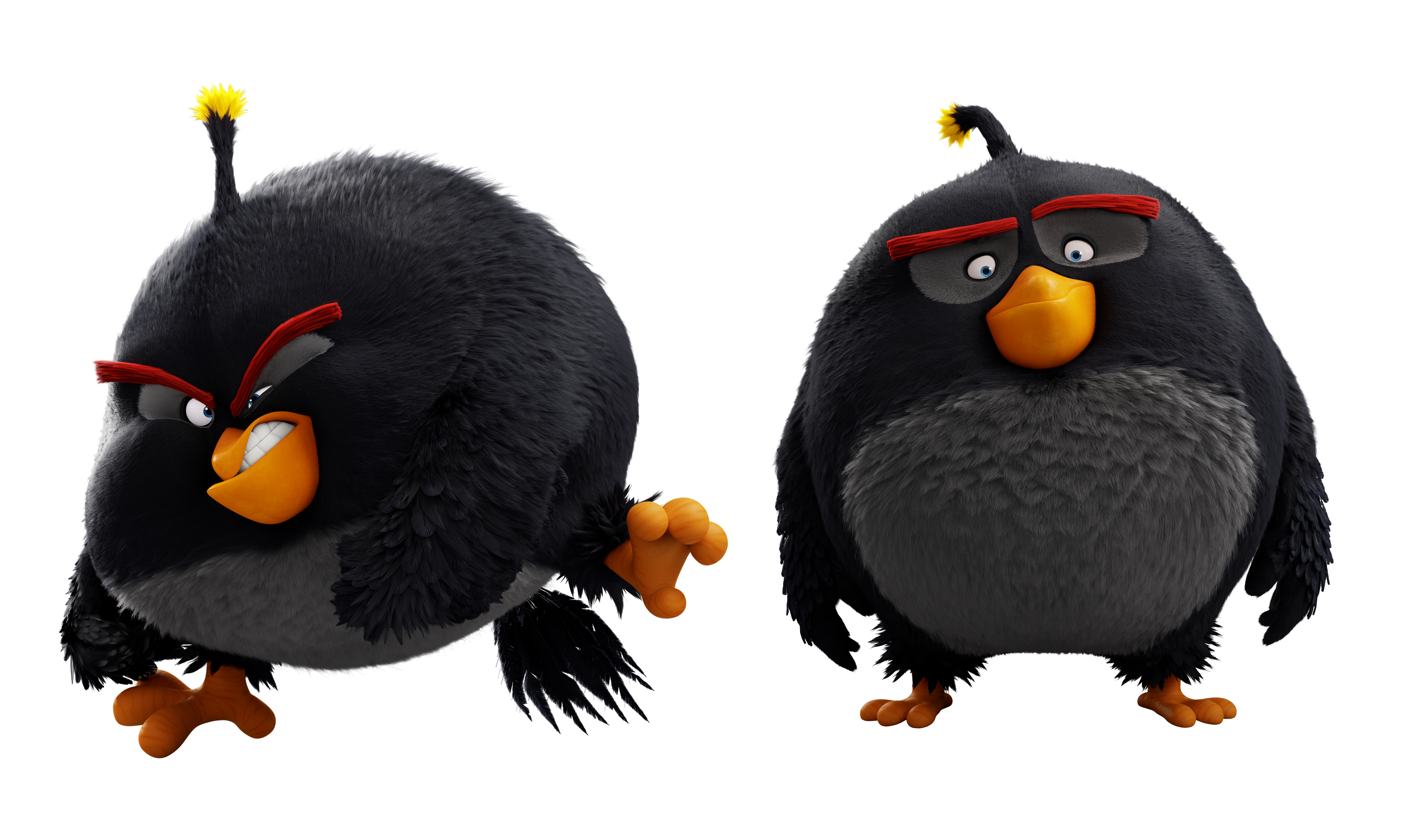 angry birds toons bomb