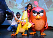 A group of fans posing near statues of Red and Chuck at Madame Tussauds in London.