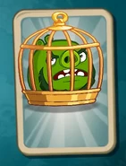 Leo Card.png (138 КБ) В клетке