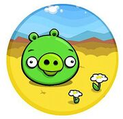 PigConcepts01