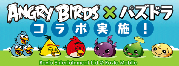  Angry Birds Flock Official Merchandise T-Shirt : Clothing,  Shoes & Jewelry