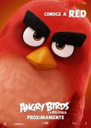 TheAngryBirdsMovieRedBirdSpanishPoster