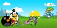 The birds defeat Corporal Pig (Chrome)