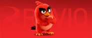 Rovio Angry Bird logo.jpg (32 KB) Source: