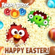 20139788 976328795864513 3874690590752559150 n.jpg (135 KB)