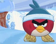 Angry-birds-seasons.jpg (53 KB) Red chasing the gifts.